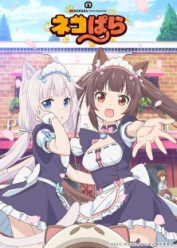 Nekopara Anime