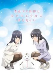 Seishun Buta Yarou wa Yumemiru Shoujo no Yume wo Minai 1080p