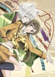 Kamisama Hajimemashita Latino