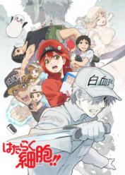 Hataraku Saibou 2